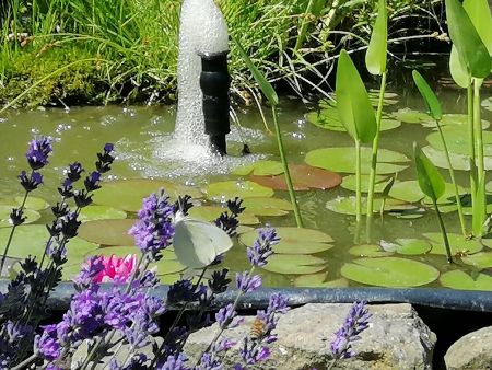 Noch Plätze frei beim Foto Workshop des Kulturrucksack-Projektes. Foto: Kreis Paderborn